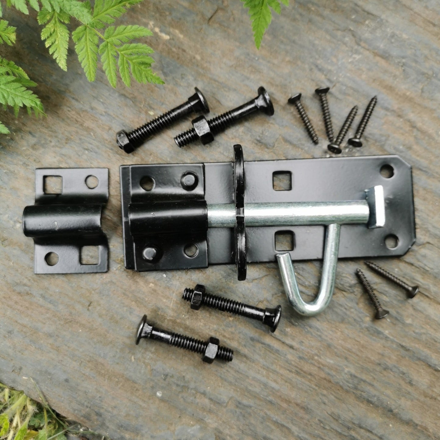 Black Brenton Padbolt