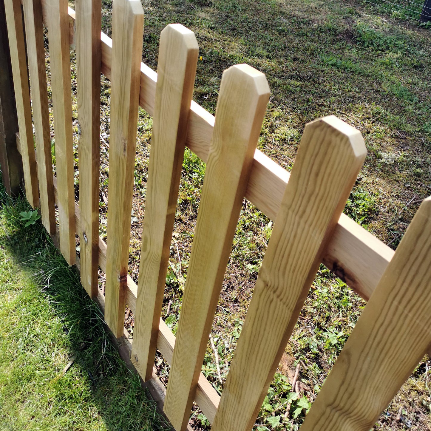 Pressure Treated with Dog Eared Tops