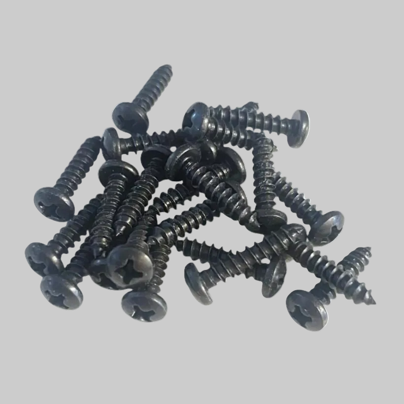 Exterior Black Pan Head Screws