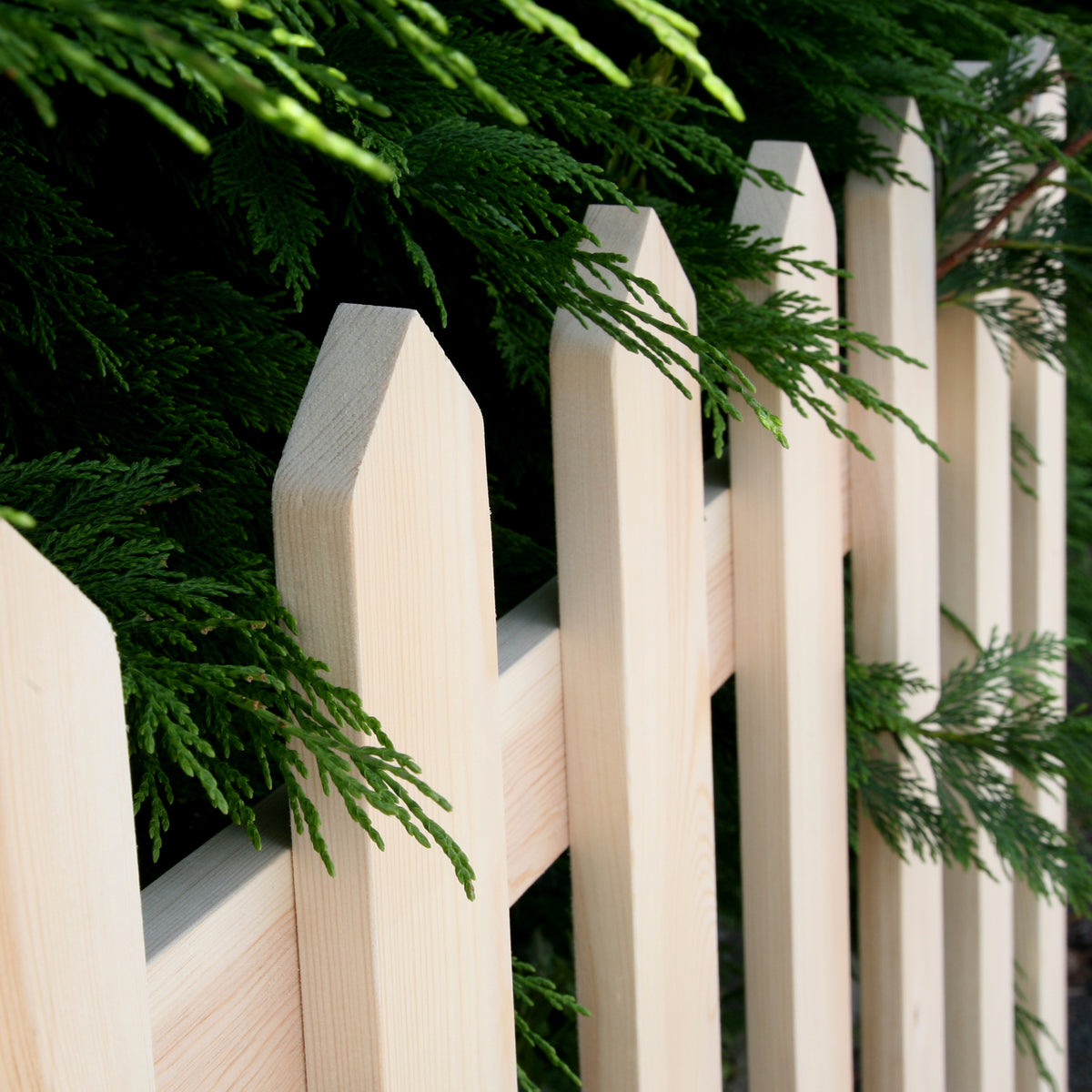 Natural with Pointed Tops – The Picket Fence Company