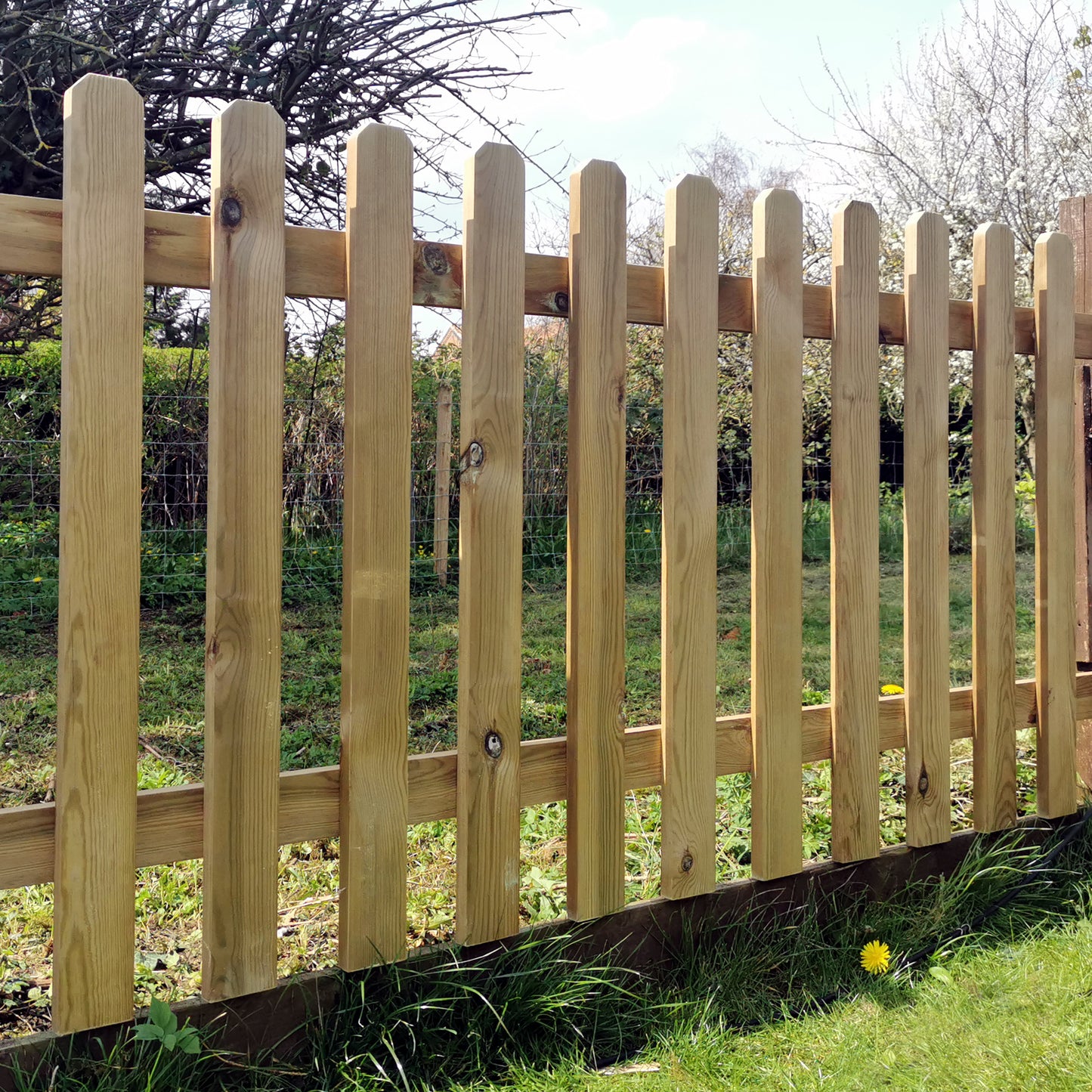 Pressure Treated with Dog Eared Tops