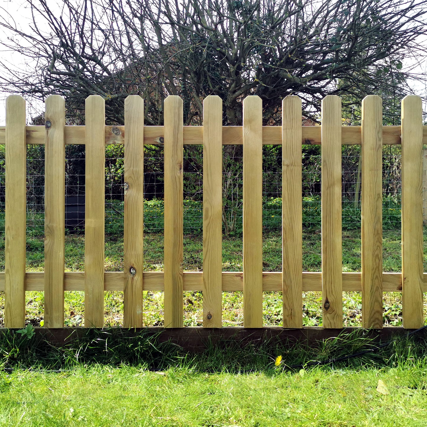 Pressure Treated with Dog Eared Tops