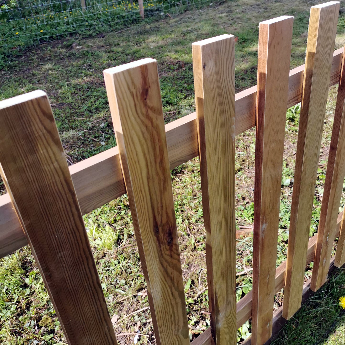 Pressure Treated with Flat Tops