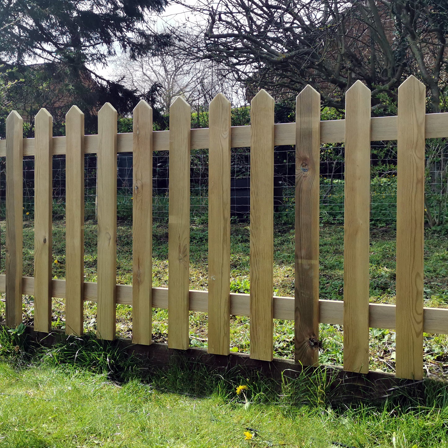 Pressure Treated with Pointed Tops