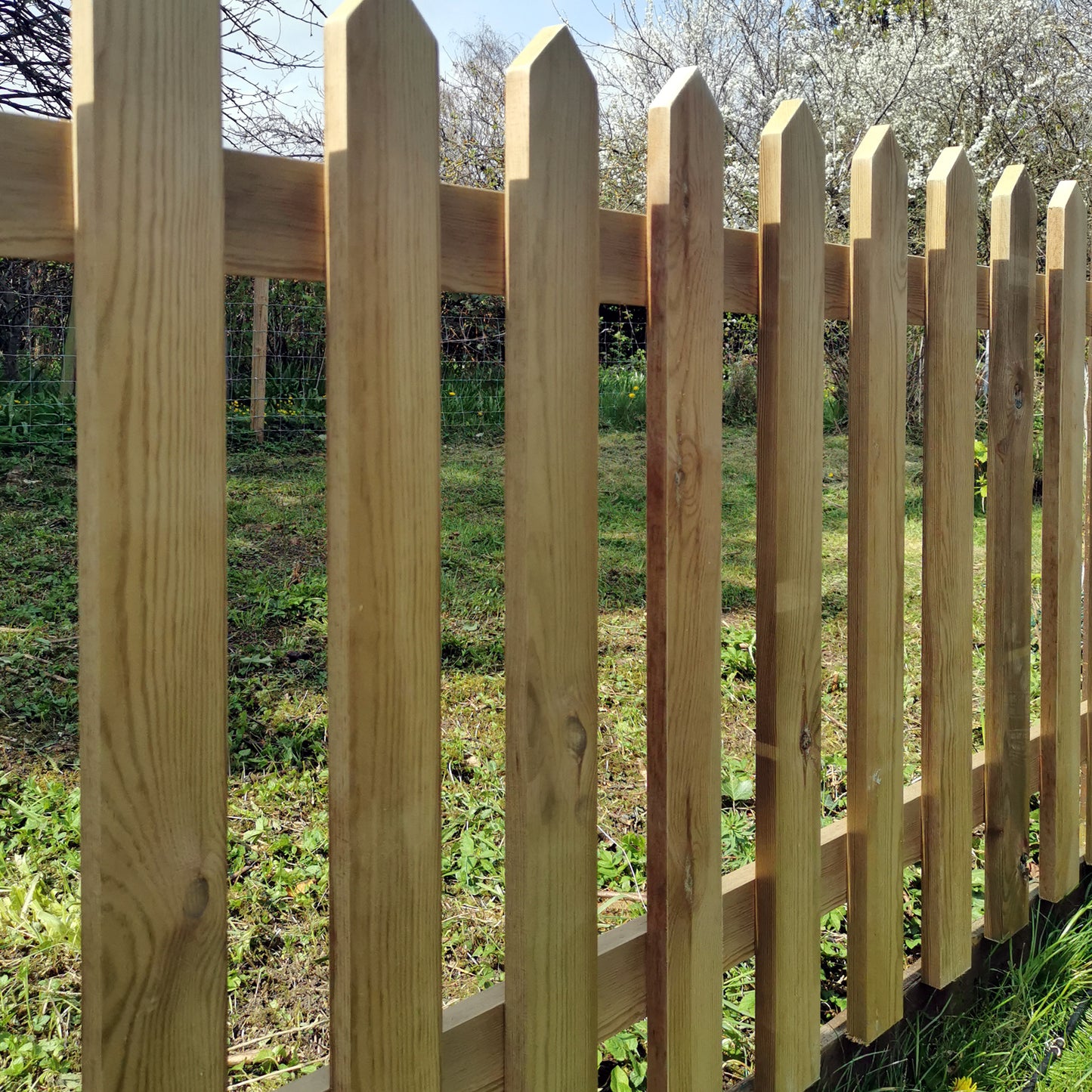 Pressure Treated with Pointed Tops
