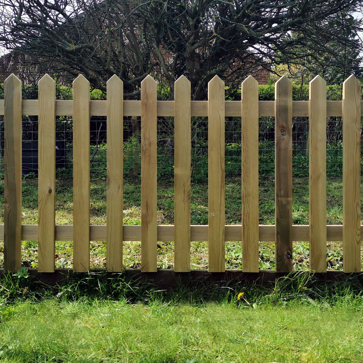 Pressure Treated with Pointed Tops